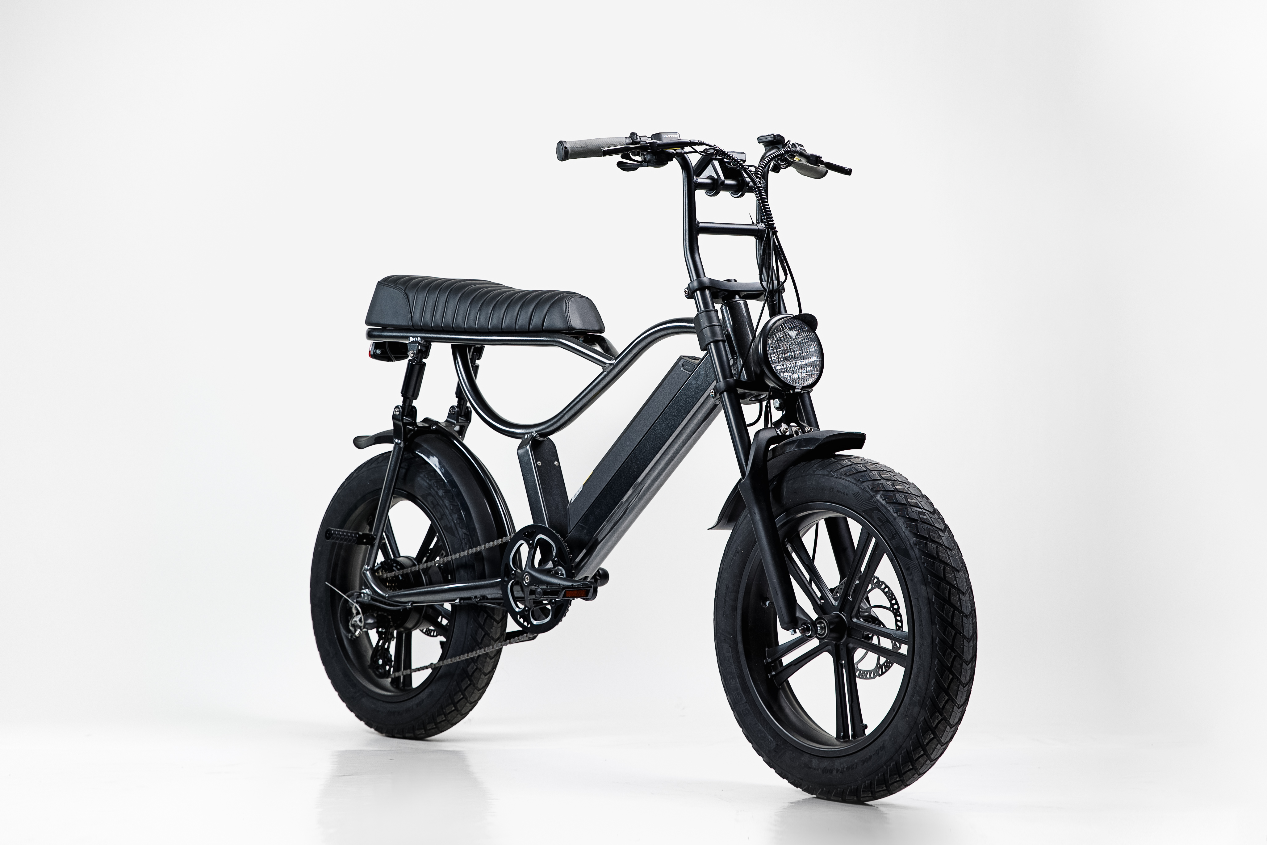 750W Fat Tire Removable Battery Folding Electric Bicycle
