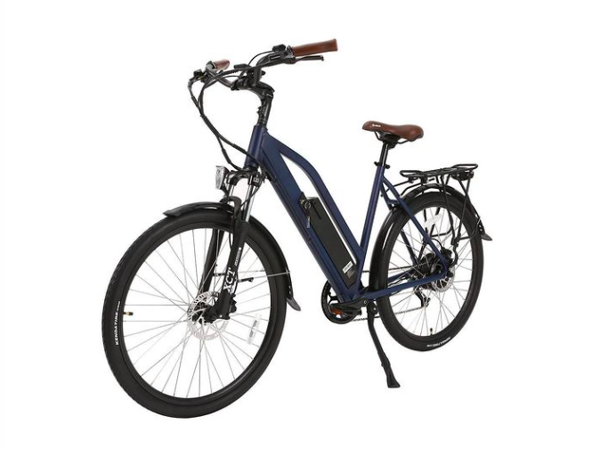 Dual Shock Absorber Outdoors Adults Electric Bike