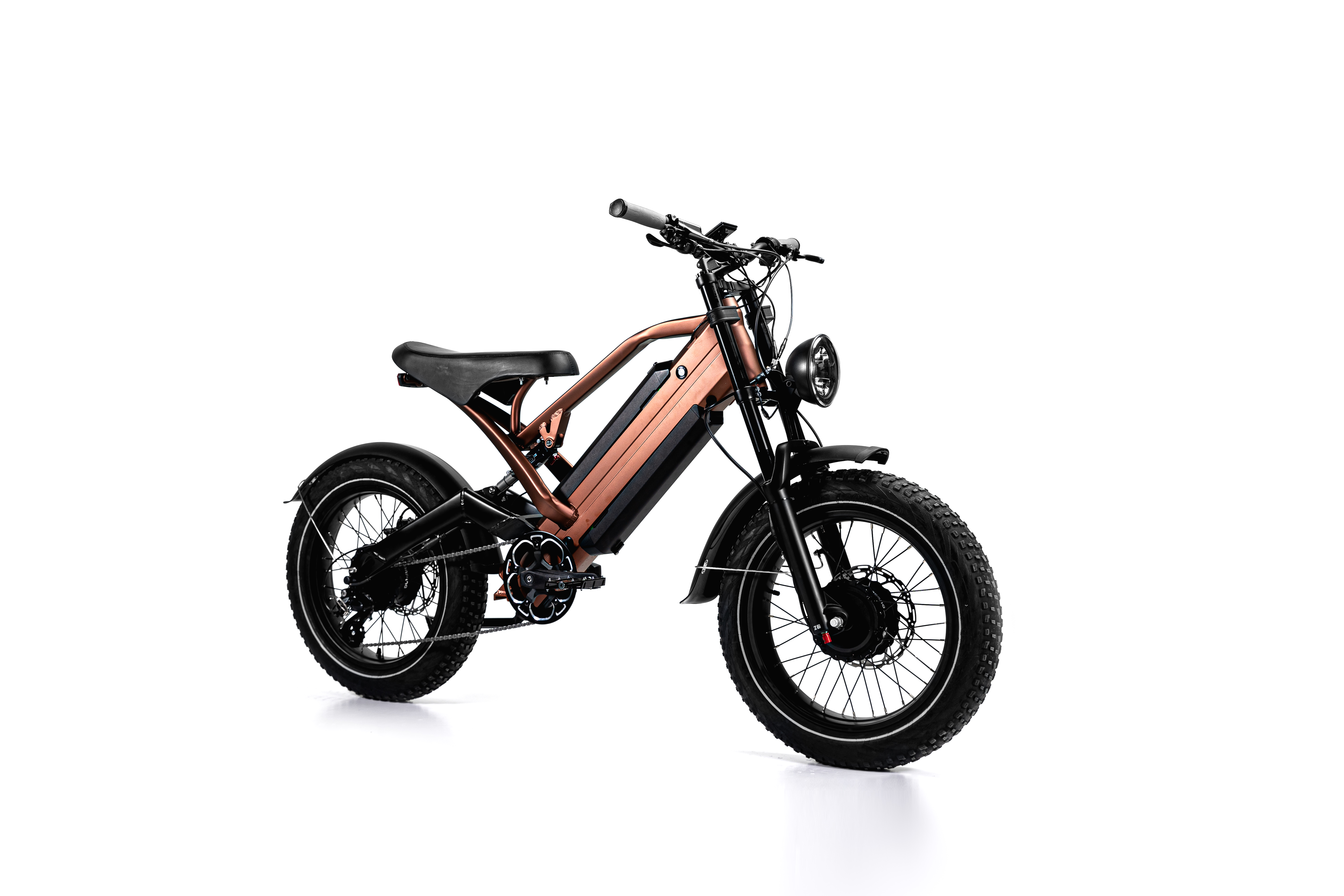 Moped -style Electric Bikes 2 Batteries 2 Motor 750w FAT eBike 